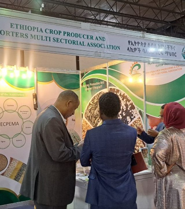 photo_2025-02-20_16-23-15